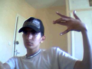 Anis